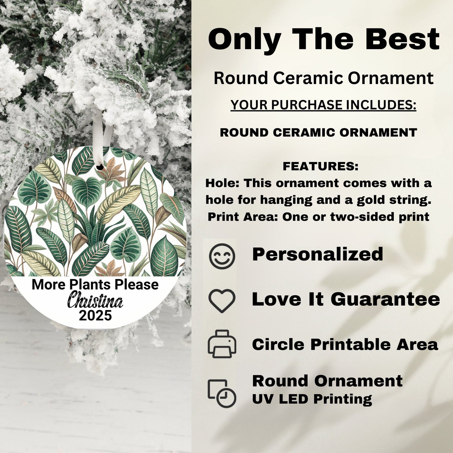 Unique Round Ceramic Ornament Plant Design product