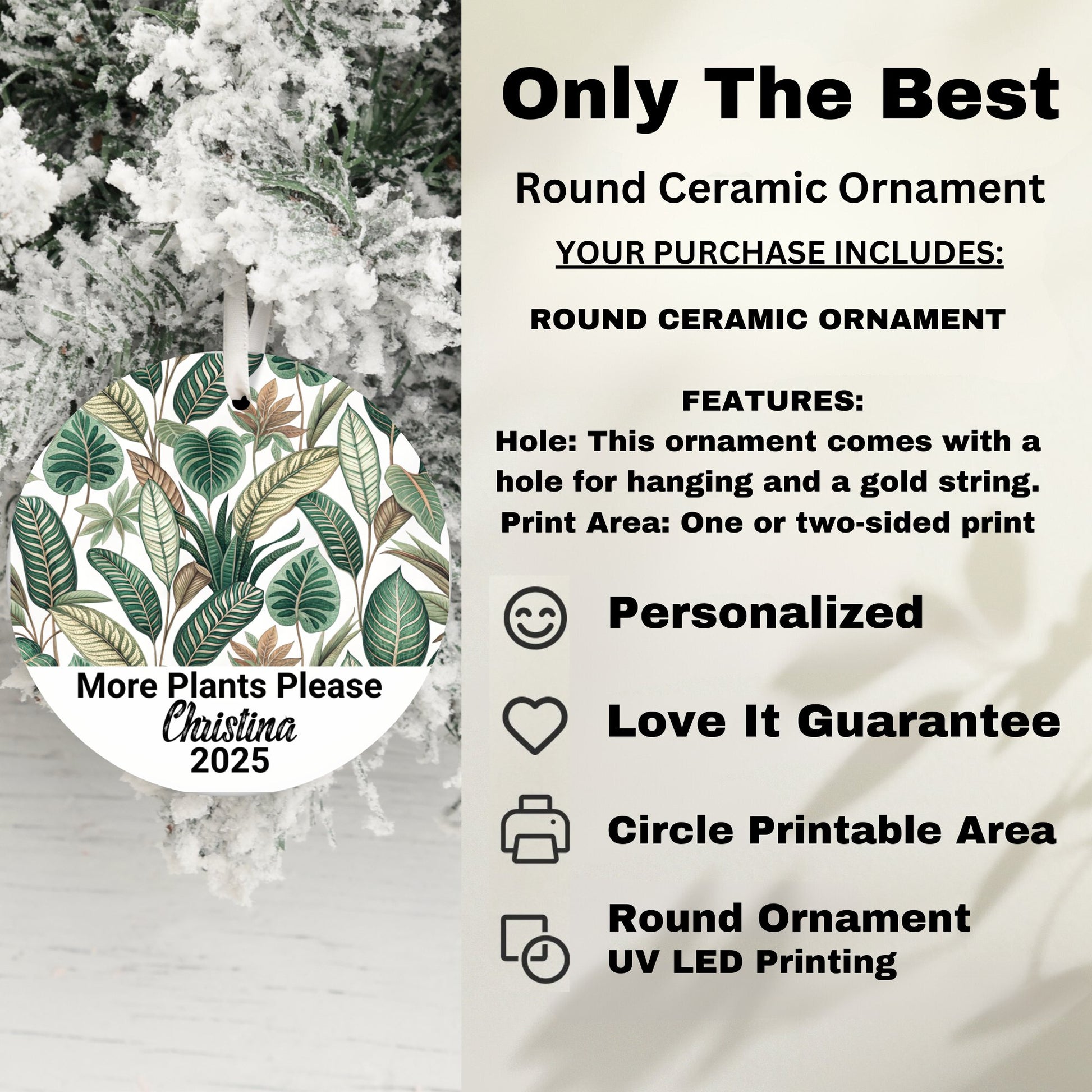 Unique Round Ceramic Ornament Plant Design product